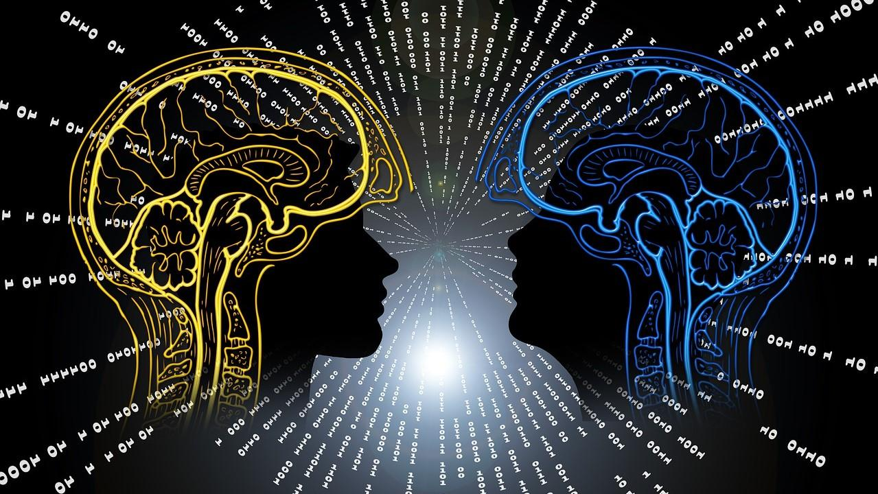 AI浪潮下，互联网博主的财富逆袭指南