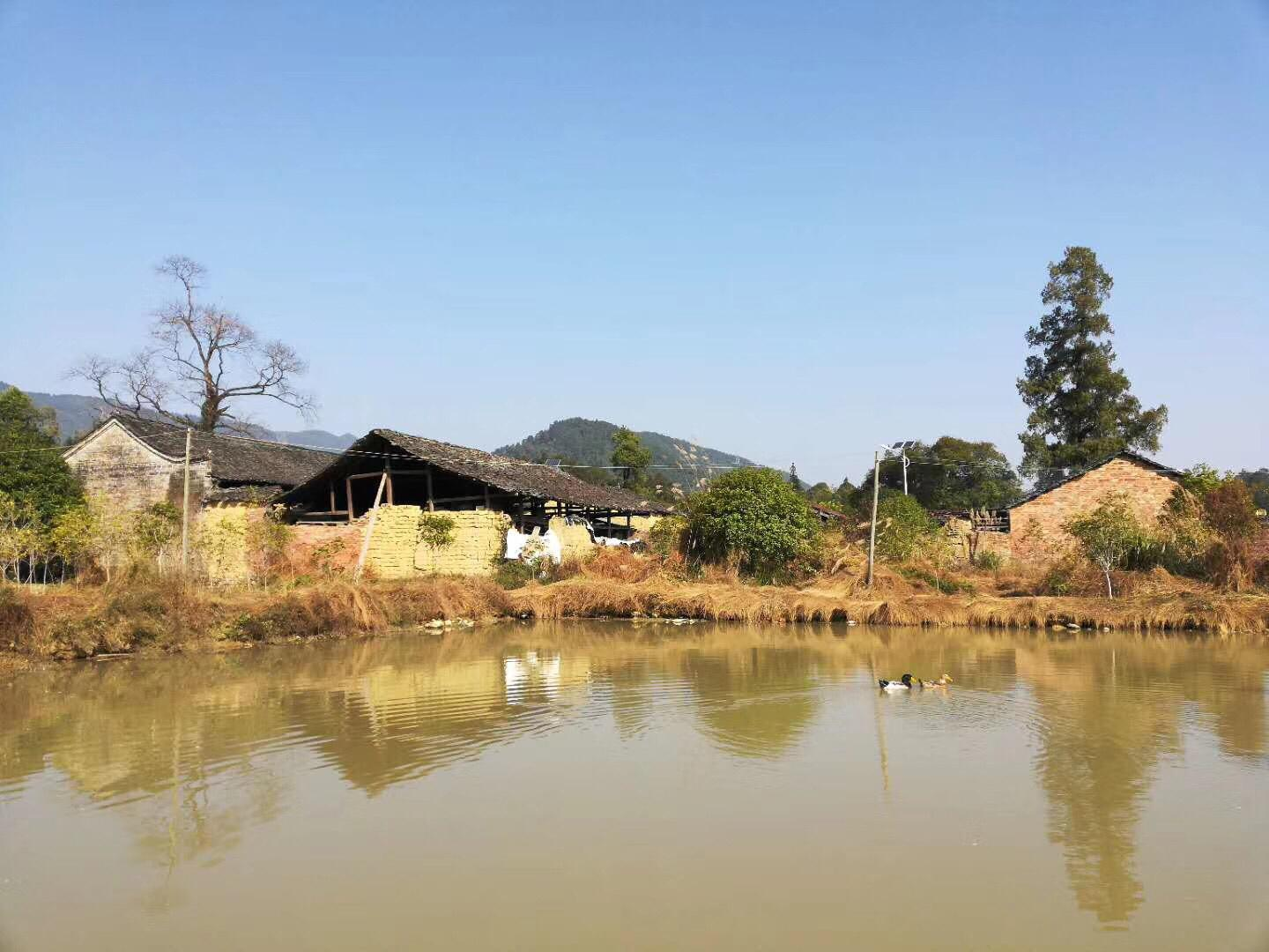 AI绘就乡野梦，短视频里的田园牧歌